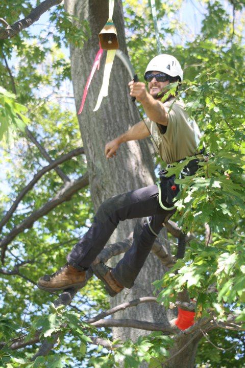 2011 Ontario Tree Climbing Championship