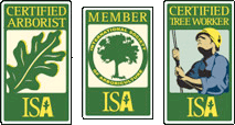 ISA certified arborists