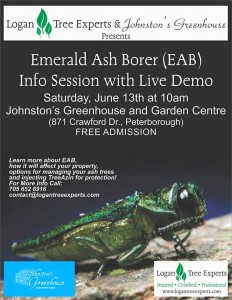 EAB Emerald Ash Borer info session